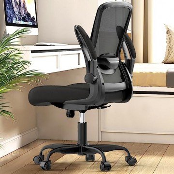 Office Chair, Ergonomic Desk Chair with Adjustable Lumbar Support, High Back Mesh Computer Chair with Flip-up Armrests-BIFMA Passed Task Chairs, Executive Chair for Home Office